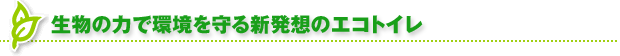 �����̗͂Ŋ������V���z�̃G�R�g�C��