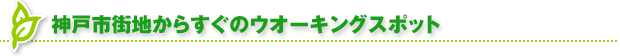 �_�ˎs�X�n���炷���̃E�I�[�L���O�X�|�b�g