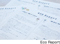 ECO Report