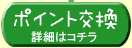 �|�C���g���� �ڍׂ̓R�`��