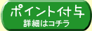 �|�C���g�t�^ �ڍׂ̓R�`��