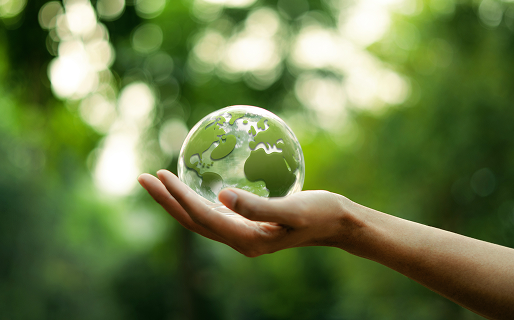 環境マネジメント