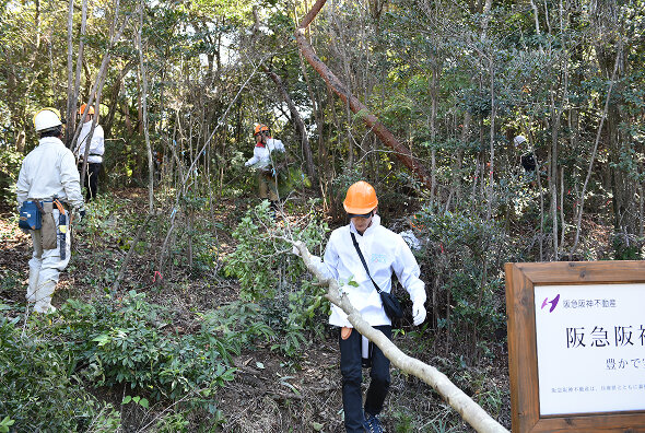神戸市「キーナの森」で取り組む森林保全活動　森林ボランティア体験の様子