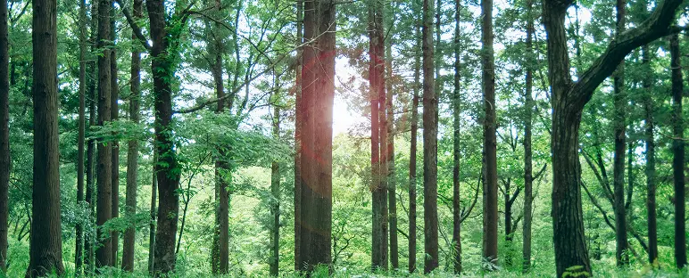 Environment 環境 イメージ