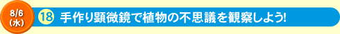 手作り顕微鏡で植物の不思議を観察しよう！