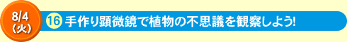 手作り顕微鏡で植物の不思議を観察しよう！