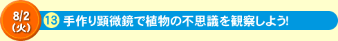 手作り顕微鏡で植物の不思議を観察しよう！