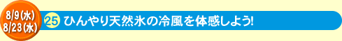 25ひんやり天然氷の冷風を体感しよう！