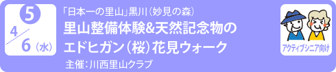 no5.４／6日（水）「日本一の里山」黒川（妙見の森）
里山整備体験&天然記念物のエドヒガン（桜）花見ウォーク
主　　催：川西里山クラブ