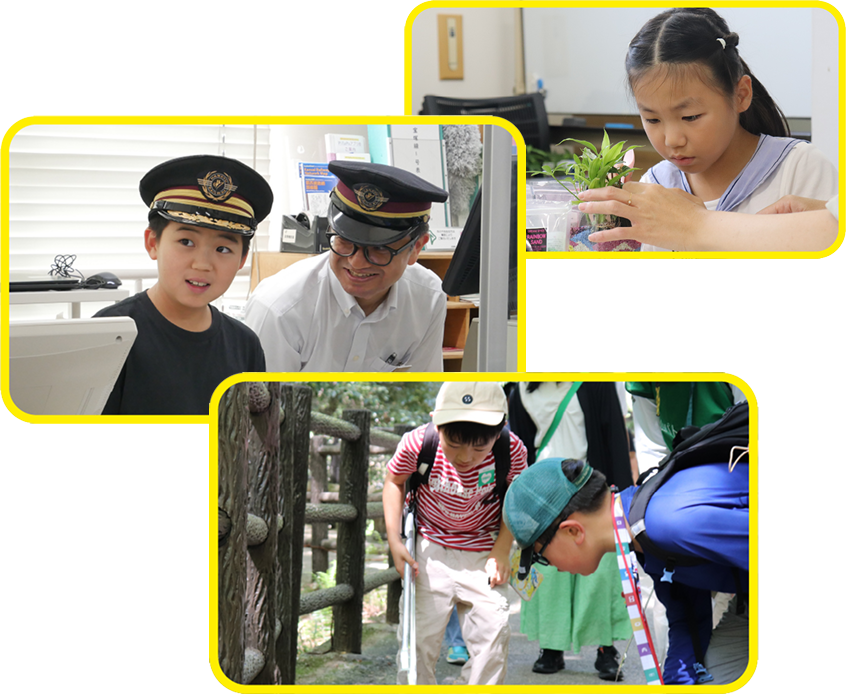 ゆめ·まちアクション号について