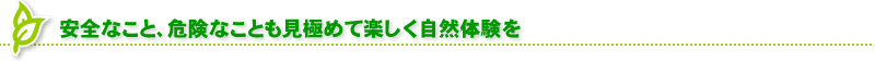 安全なこと、危険なことも見極めて楽しく自然体験を