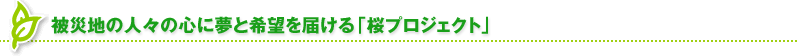 被災地の人々の心に夢と希望を届ける「桜プロジェクト」