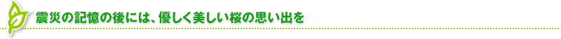 震災の記憶の後には、優しく美しい桜の思い出を