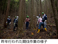 昨年行われた間伐作業の様子