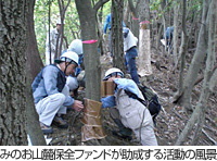 みのお山麓保全ファンドが助成する活動の風景