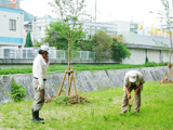 社会貢献担当の当日レポート